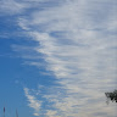 MJ zoekt een Kamer in Den Haag