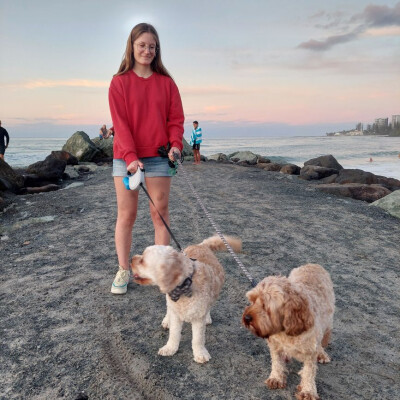 Guusje zoekt een Kamer in Den Haag